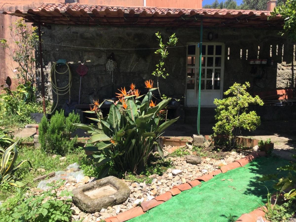 Habitacion En A Armenteira Ideal Peregrinos Daire Meis Dış mekan fotoğraf