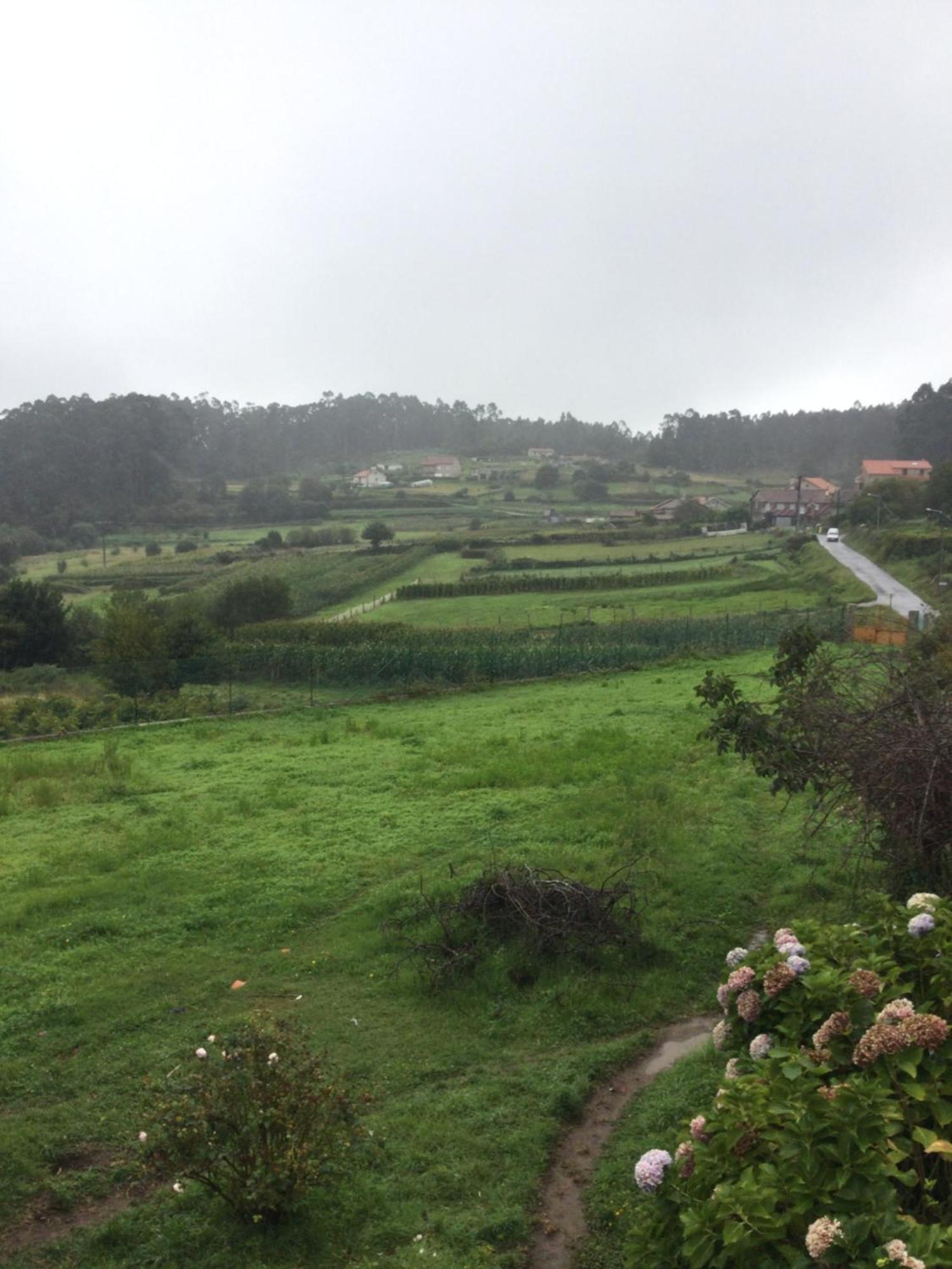 Habitacion En A Armenteira Ideal Peregrinos Daire Meis Dış mekan fotoğraf